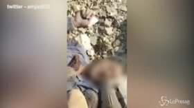 Le immagini del corpo straziato di Hevrin Khalaf, l'icona dell'orrore