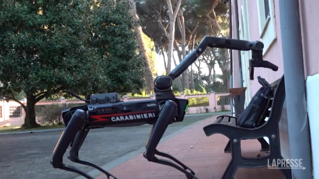 I Carabinieri arruolano Saetta, il primo cane-robot - Notizie 